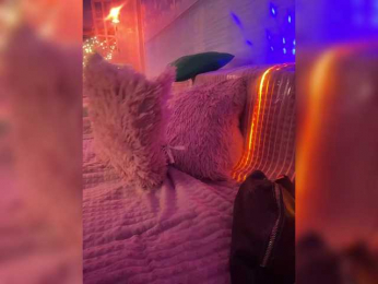 Sugarbaby33 bongacams stream image