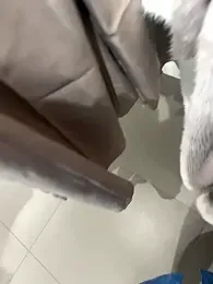 CrazzyChicks stripchat stream image