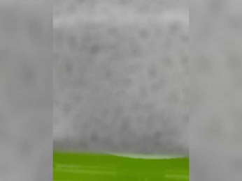 Anesteishen bongacams stream image