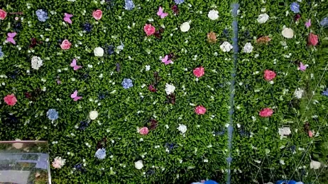 BabyAylin stripchat stream image