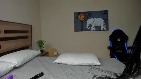 Renee-18 stripchat stream image