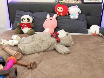 dolly-ll bongacams stream image