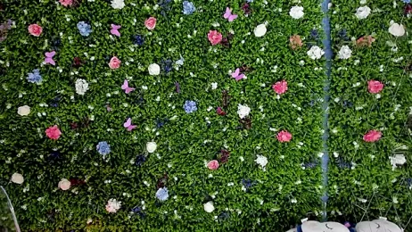 BabyAylin stripchat stream image