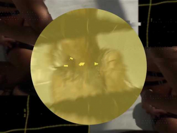 seilyfox bongacams stream image