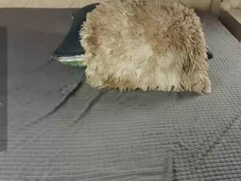 freyabyrne chaturbate stream image