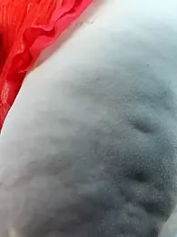 Love86Emily stripchat stream image