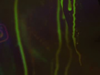 heybanan chaturbate stream image