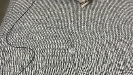 Ceyceys stripchat stream image