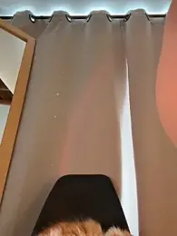 curchez_ stripchat stream image