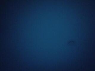 Danile Hensen flirt4free stream image