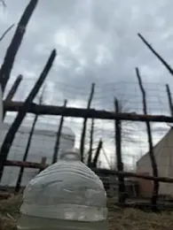 GoldenFlameGoddess stripchat stream image