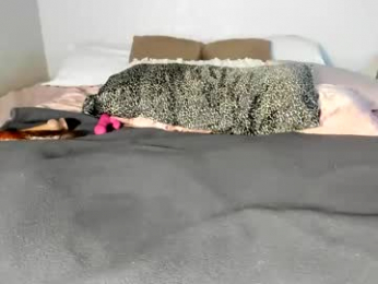 sexxylaurab chaturbate stream image