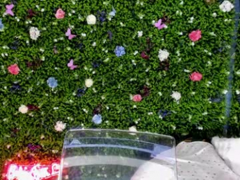 babyaylin chaturbate stream image