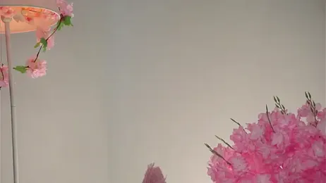 AmiLewis stripchat stream image