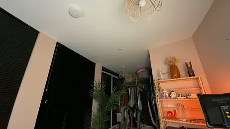 _vixenp stripchat stream image