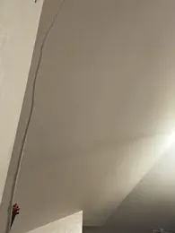 ladywithbigass stripchat stream image