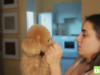 roxxxete chaturbate stream image