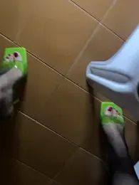 Wet-Pussycat stripchat stream image