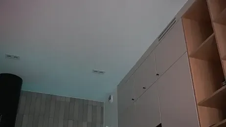 DreamSofia stripchat stream image