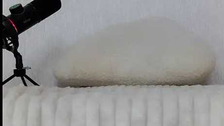 Haters__ stripchat stream image