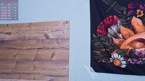 DaisyElmers stripchat stream image