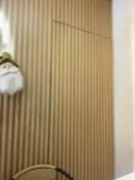 clarachanelricek stripchat stream image