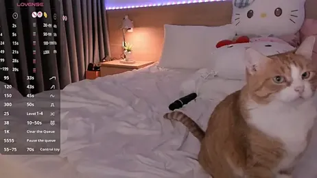 Lenstardi stripchat stream image