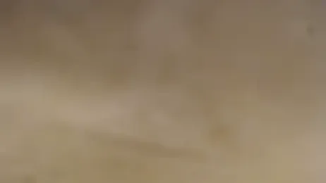 DAELAA stripchat stream image