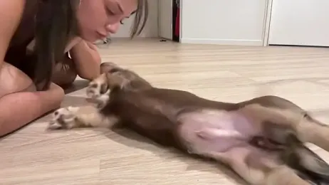 cassiess1 stripchat stream image