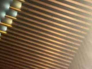 torygrey camsoda stream image