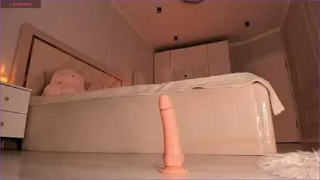 stellagracee stripchat stream image