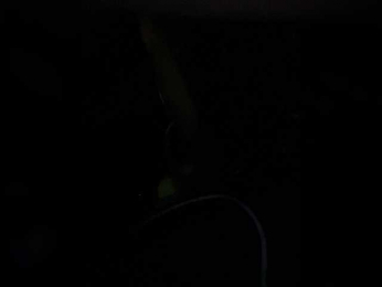 SallyeLeins bongacams stream image