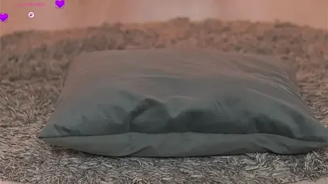 Abbela_White stripchat stream image