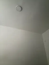 Arilw stripchat stream image