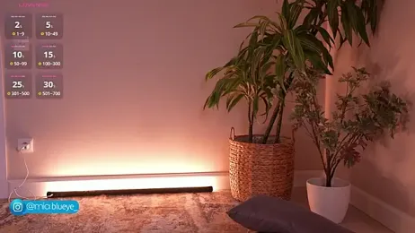 Miablueye stripchat stream image