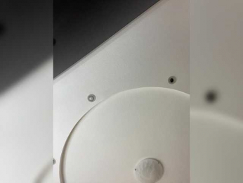 VICTORIA_ bongacams stream image