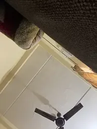 United3 stripchat stream image