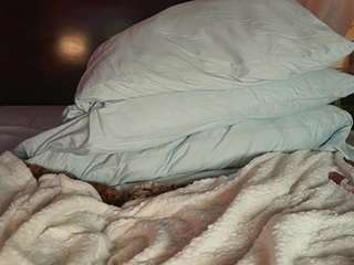 katyerave camsoda stream image