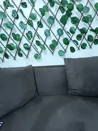 Bold-Cat stripchat stream image