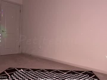 petitebrat chaturbate stream image