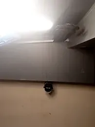 AmazonianMistress stripchat stream image