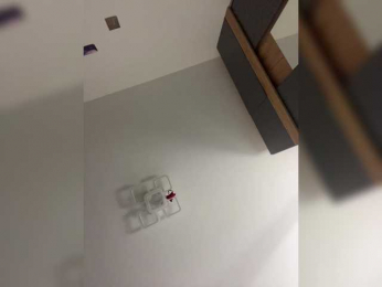 YourLadyyy bongacams stream image