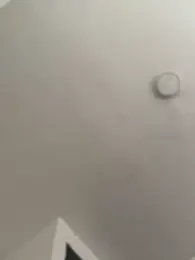 Arilw stripchat stream image