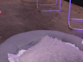 MadelineFox bongacams stream image, 30.12.2025 11:10