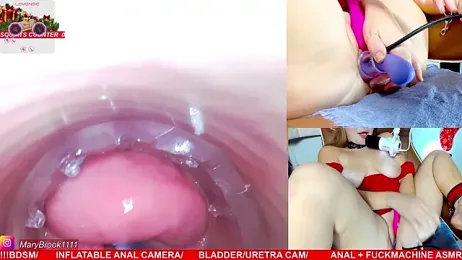 MaryBrook1 stripchat stream image