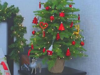 Lee Amy flirt4free stream image