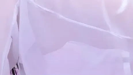 Rico-pin stripchat stream image