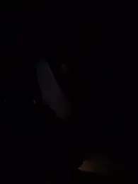 Armyexhibitionistvet stripchat stream image