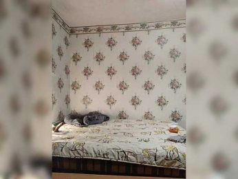 Alisa-33 bongacams stream image