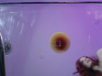 Midnightrose11 bongacams stream image